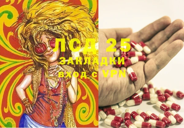 2c-b Лиски
